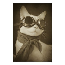 Stoomstijl Luchtvaartkat Sepia Portret