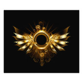 Stoomstijl vleugels foto afdruk (Voorkant)