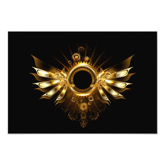 Stoomstijl vleugels foto afdruk (Voorkant)