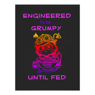 Stoomtech Ramen Kat Grappige Anime Gaming Poster