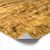 Stoomtrein in het Poster van het platteland (4022) (Hoek)