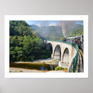 Stoomtrein op brug poster