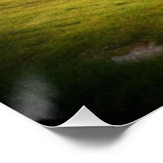 stoomtrein perfect poster (Hoek)