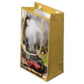 STOOMTREINEN KLEIN CADEAUZAKJE (Achterkant Gekanteld)