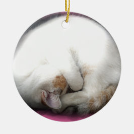 Stoor de kattenversiering niet keramisch ornament