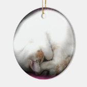Stoor de kattenversiering niet keramisch ornament (Links)