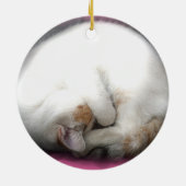 Stoor de kattenversiering niet keramisch ornament (Achterkant)