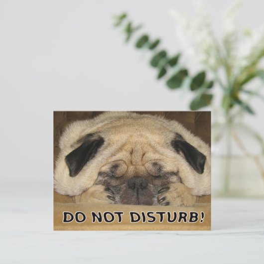 Stoor het Briefkaart Pug niet (Staand voorkant)