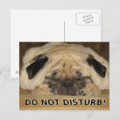 Stoor het Briefkaart Pug niet (Voorkant / Achterkant)