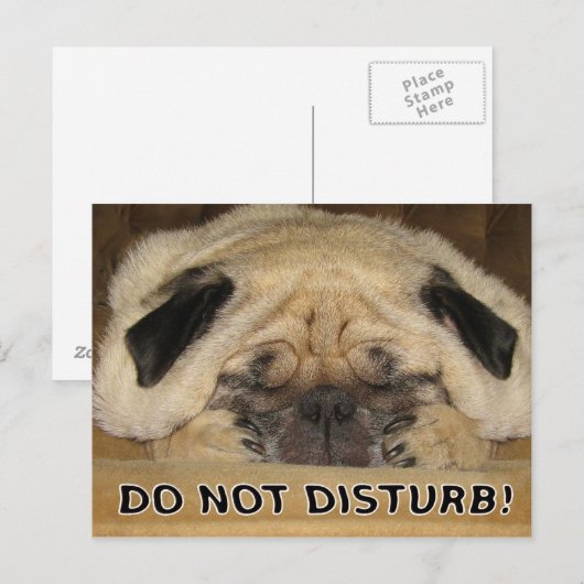 Stoor het Briefkaart Pug niet (Voorkant / Achterkant)