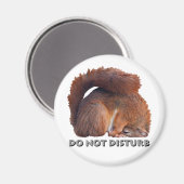 Stoor Magnet niet (Voorkant / Achterkant)