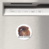 Stoor Magnet niet (Insitu (Vaatwasser))