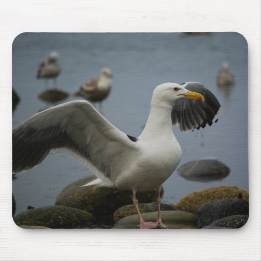Stoor Mousepad niet Muismat (Voorkant)