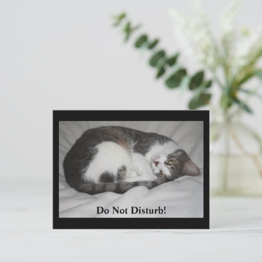 Stoor niet! briefkaart (Staand voorkant)