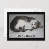 Stoor niet! briefkaart (Voorkant / Achterkant)