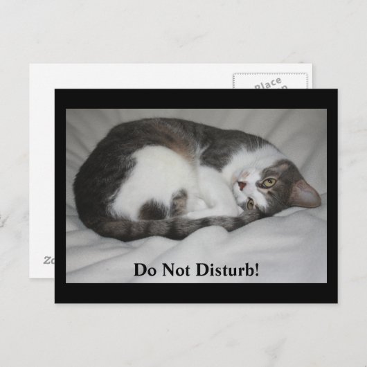 Stoor niet! briefkaart (Voorkant / Achterkant)