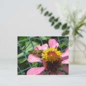 Stootverkloer Briefkaart (Staand voorkant)