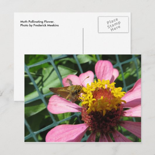 Stootverkloer Briefkaart (Voorkant / Achterkant)