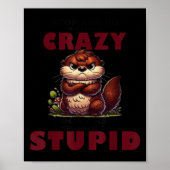 Stop Asking Why I'm A Crazy I Don't Ask Why You're Poster (Voorkant)