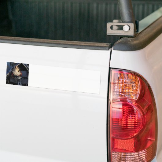 Stop! Bumpersticker (Op Truck)