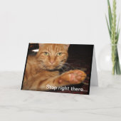 Stop daar kaart (Voorkant)