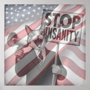 Stop de krankzinnigheid poster