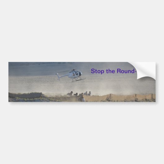 Stop de Ronde-ups van wilde paarden en Burros Bumpersticker (Voorkant)