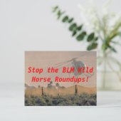 STOP DE RONDUP BRIEFKAART (Staand voorkant)