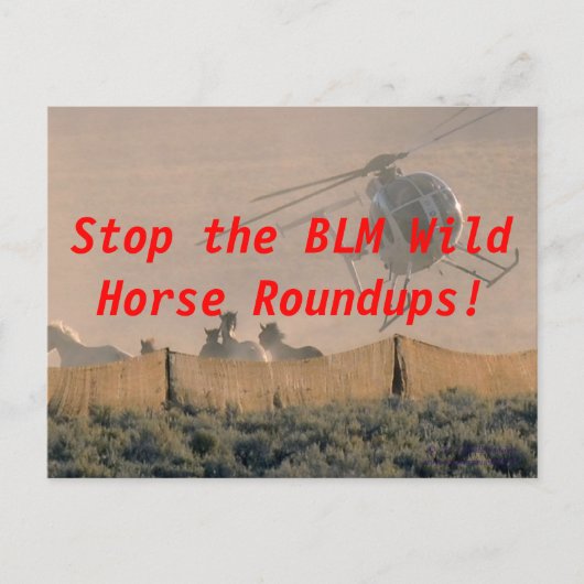 STOP DE RONDUP BRIEFKAART (Voorkant)