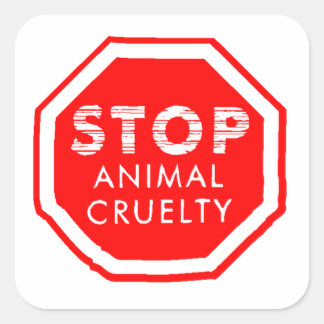 Stop dierenmishandeling vierkante sticker
