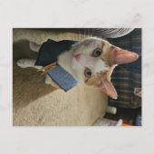 Stop Embarrassing Me! Postcard Feestdagenkaart (Voorkant)