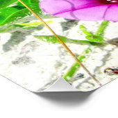 Stop en Ruik de Beach Rozen Foto Afdruk (Hoek)