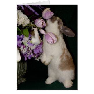 Stop en Ruik de bloemen