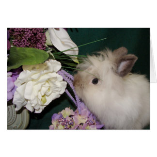 Stop en Ruik de Bloemen 3