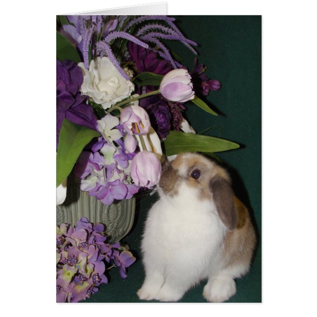 Stop en Ruik de Bloemen 4 (Voorkant)