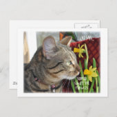 Stop en Ruik de bloemen Briefkaart (Voorkant / Achterkant)