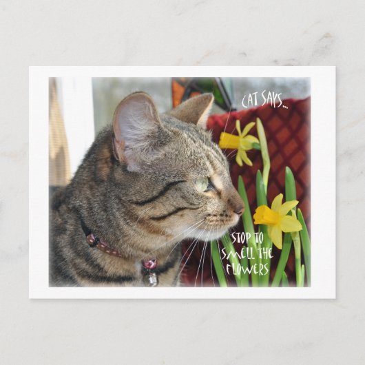 Stop en Ruik de bloemen Briefkaart (Voorkant)