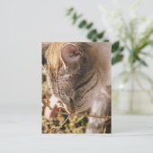 Stop en Ruik de bloemen Briefkaart (Staand voorkant)