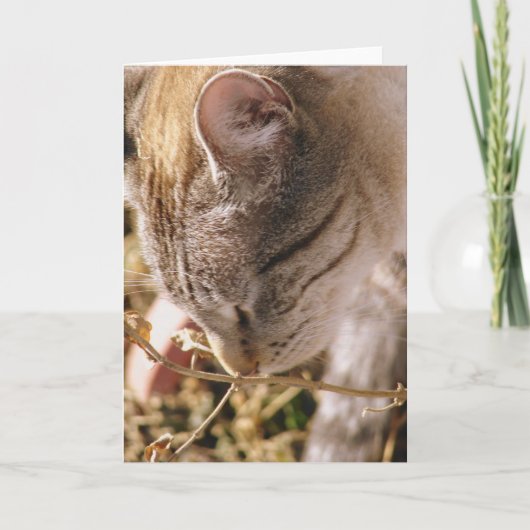 Stop en Ruik de bloemen Kaart (Voorkant)