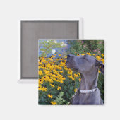 Stop en Ruik de Bloemen Magneet (Voorkant / Achterkant)