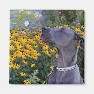 Stop en Ruik de Bloemen Magneet