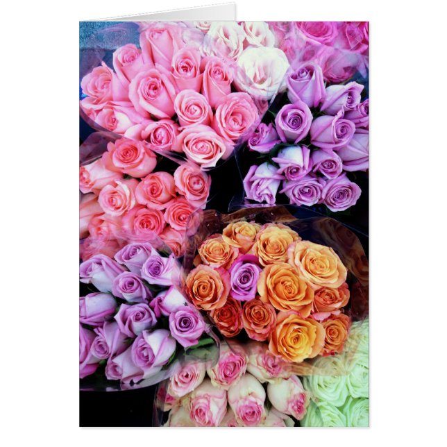 Stop en Ruik de Rozen (Voorkant)