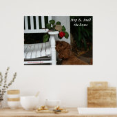 Stop en ruik het Roos Poster (Keuken)