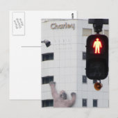 STOP Er zit een gorilla op de muur. Briefkaart (Voorkant / Achterkant)