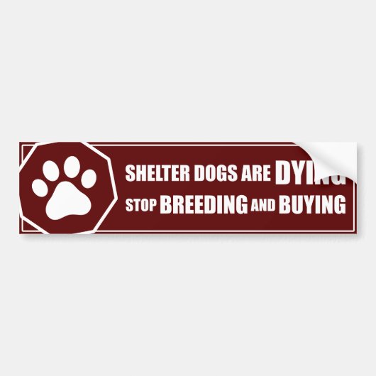 "Stop het fokken en kopen" Bumpersticker (Voorkant)