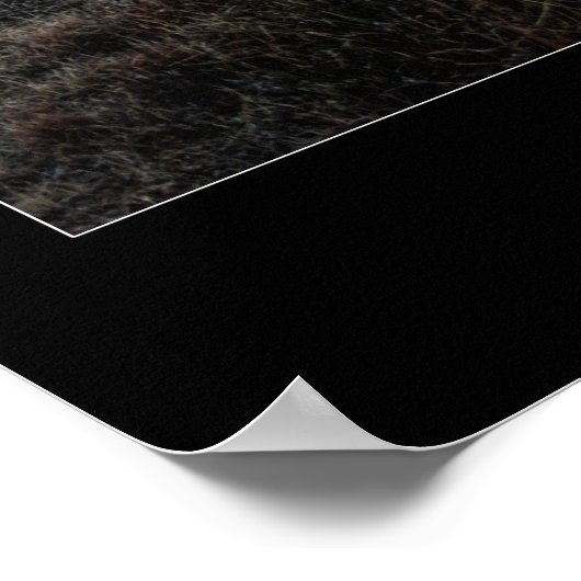 STOP!! Kijk naar die Sunset. Poster (Hoek)