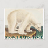 Stop klimaatverandering bedreigd Arctisch Polair B Briefkaart (Voorkant)