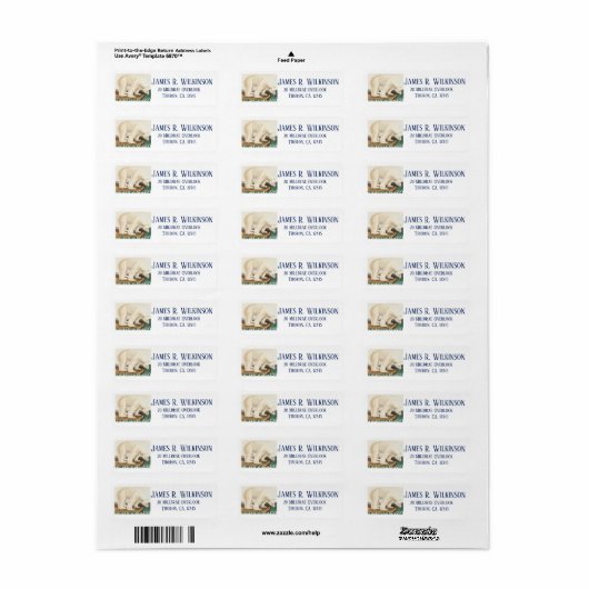 Stop klimaatverandering bedreigd Arctisch Polair B Etiket (Full Sheet)