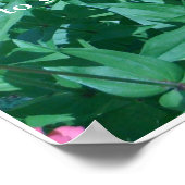 Stop met de bloemen te ruiken poster (Hoek)