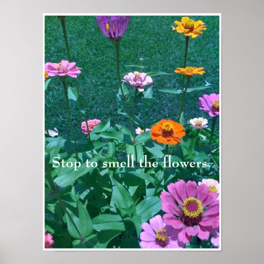 Stop met de bloemen te ruiken poster (Voorkant)